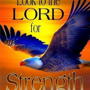 Meet your Posher, Elaine